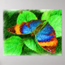 Recherche de papillon coloré posters Fille