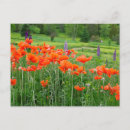 Recherche de brunswick cartes postales Paysage