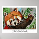 Recherche de ours panda posters Peinture