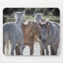 Recherche de mousepad temps tapis souris Famille