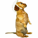 Recherche de plaque de noël photo photo sculptures Chien