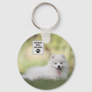 Recherche de spitz porteclés Dog