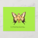 Recherche de interrogation cartes postales Nature