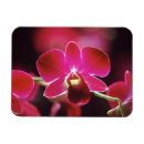 Recherche de malaise magnets Fleur