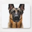 Recherche de visage chien tapis souris Mignon