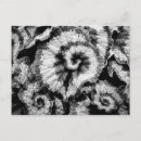 Recherche de bégonias cartes postales Flore