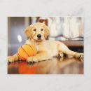 Recherche de golden retriever Dog