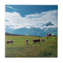 Recherche de alpes carreaux La suisse