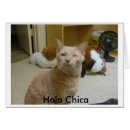 Recherche de chica Chat