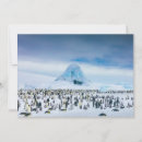 Recherche de pingouin antarctique vœux cartes Iceberg
