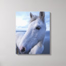 Recherche de equus impressions sur toile Ranch