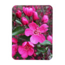 Recherche de aménagement magnets Floraison
