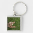 Recherche de caniche standard porteclés Horizontal