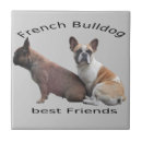 Recherche de bouledogue français carreaux Bouledogues