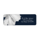 Recherche de ketmie blanche Floral