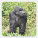 Recherche de gorille de montagne autocollants Rwanda