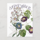 Recherche de de matin cartes postales Gloire matinale
