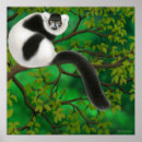 Recherche de singe de fille art Animaux
