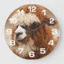 Recherche de alpaga horloges Mignon