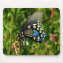 Recherche de papillon bleu tapis souris Faune
