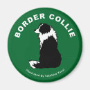 Recherche de colley magnets Chien de berger