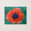 Recherche de pavot rouge puzzles Orange