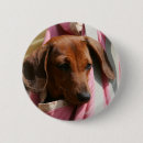 Recherche de lisse badges Chien