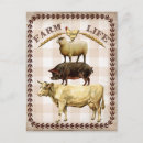 Recherche de vie de pays cartes postales Ferme