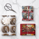 Recherche de raton laveur papier cadeau Vacances