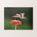 Recherche de colibris puzzles Fleur