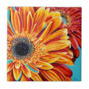 Recherche de éclat carreaux Botanique