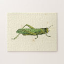 Recherche de copper puzzles Vert