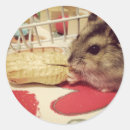 Recherche de autoc Coeur