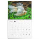 Recherche de poissons bureau fournitures Poisson rouge