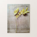 Recherche de conserve puzzles Photographie