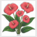 Recherche de anthurium autocollants Fleur