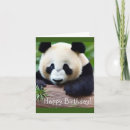 Recherche de panda anniversaire cartes Enfants