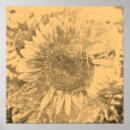 Recherche de peintures de fleur posters Dessin