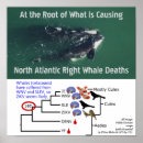 Recherche de tests posters Docteur