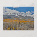 Recherche de peuplier cartes postales Automne