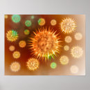 Recherche de cytologie posters Biologie cellulaire