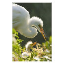 Recherche de comportement posters Famille