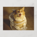 Recherche de gaze Animal