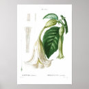 Recherche de trumpet posters Vintage