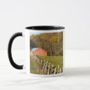 Recherche de rangement tasses Rouge