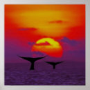 Recherche de queue baleines posters Nature