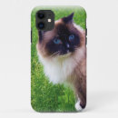 Recherche de ragdoll iphone coques Chaton