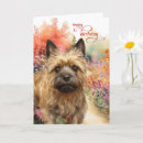 Recherche de terriers de cairn vœux cartes Amoureux des chiens
