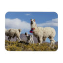 Recherche de montagnes magnets Andes