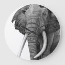 Recherche de défense horloges Faune